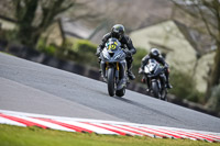 Oulton-Park-21st-March-2020;PJ-Motorsport-Photography-2020;anglesey;brands-hatch;cadwell-park;croft;donington-park;enduro-digital-images;event-digital-images;eventdigitalimages;mallory;no-limits;oulton-park;peter-wileman-photography;racing-digital-images;silverstone;snetterton;trackday-digital-images;trackday-photos;vmcc-banbury-run;welsh-2-day-enduro